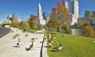 image of city