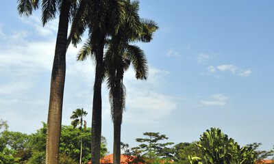 image of city