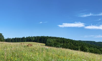 image of city