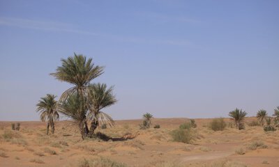 image of city