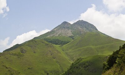 image of city