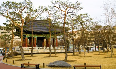 image of city